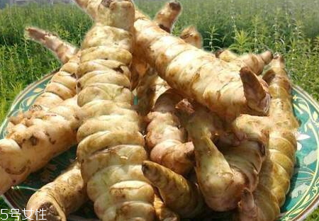 病虫害的防治方法有哪些,虫害防治方案