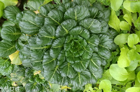 海底捞自己调制锅底收费,海底捞自己调制锅底