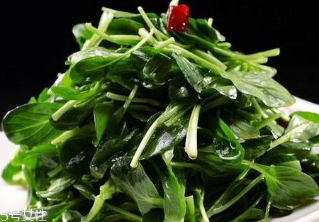 鸡毛菜和什么一起吃好,鸡毛菜不能跟什么一起吃