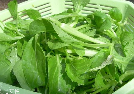 鸡毛菜怎么炒好吃,鸡毛菜怎么炒才嫩 鸡毛菜怎么炒好吃,鸡毛菜怎么炒才嫩