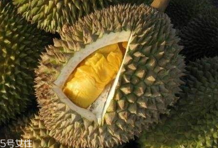 榴莲青尼品种好吗,青尼榴莲好吃还是金枕头