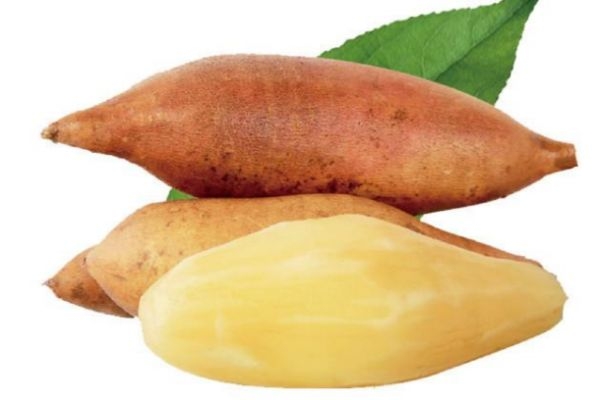 雪莲果什么季节吃比较好吃,雪莲果什么时候吃比较好 雪莲果什么季节吃比较好吃,雪莲果什么时候吃比较好