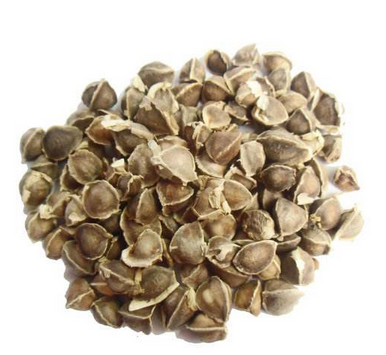 辣木籽长什么样,辣木籽有什么作用? 辣木籽长什么样,辣木籽有什么作用?