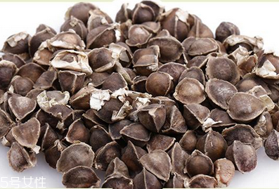 辣木籽长什么样,辣木籽有什么作用?