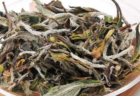 请问白茶什么季节喝最好,白茶适合什么季节喝最好