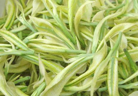 白茶泡出来是什么颜色最好,白茶泡出来的水是什么颜色