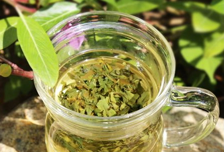 碧螺春采摘方法,碧螺春什么时候采摘 碧螺春采摘方法,碧螺春什么时候采摘