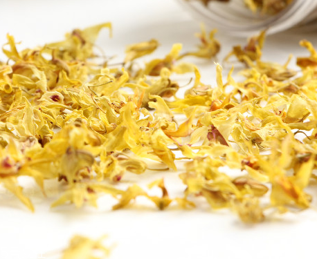 石斛花怎么养,石斛花是什么样子