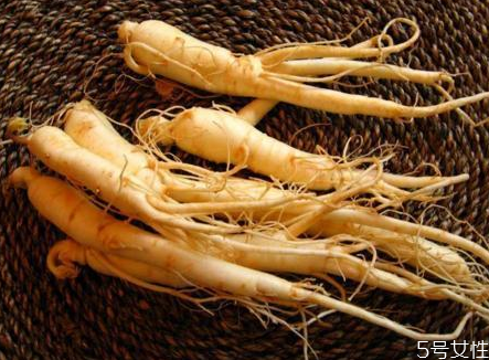 鲜人参可以种植吗,鲜人参怎么种植技术