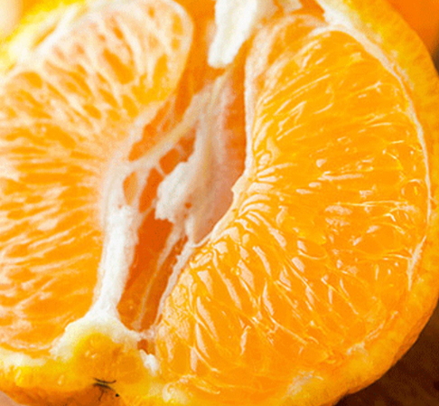 丑八怪和橘子的区别,丑八怪是橘子吗