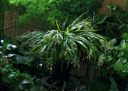 葡萄酒 变质,葡萄酒变质怎样辨别