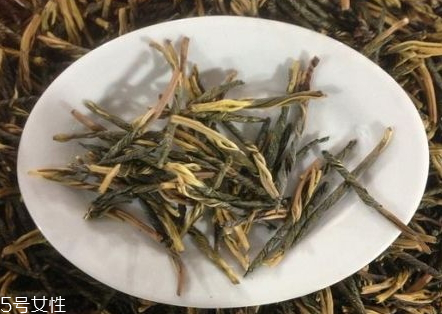 苦丁茶的用量和用法,苦丁茶的用量 苦丁茶的用量和用法,苦丁茶的用量