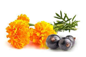 叶黄素的功效和作用,什么牌子的好?,叶黄素的功效和作用 副作用 叶黄素的功效和作用,什么牌子的好?,叶黄素的功效和作用 副作用