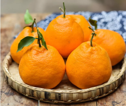 不知火和耙耙柑,不知火 耙耙柑 区别 不知火和耙耙柑,不知火 耙耙柑 区别