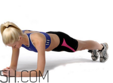 平板支撑主要锻炼哪里(平板支撑主要锻炼哪里的肌肉)