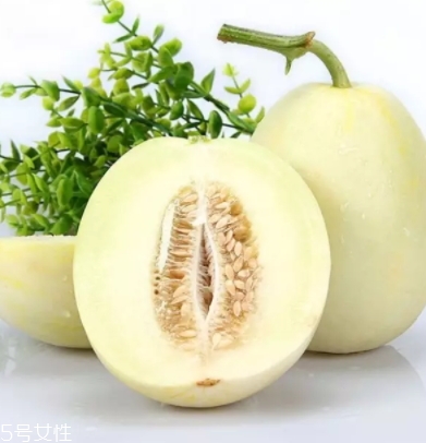 东方蜜的功效和作用,东方蜜的功效和作用禁忌