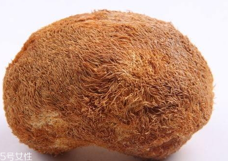 猴头菇怎么做好吃啊,猴头菇怎么做好吃 猴头菇的家常菜做法