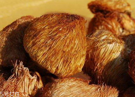 猴头菇一次吃多少合适,猴头菇食用方法 猴头菇一次吃多少合适,猴头菇食用方法