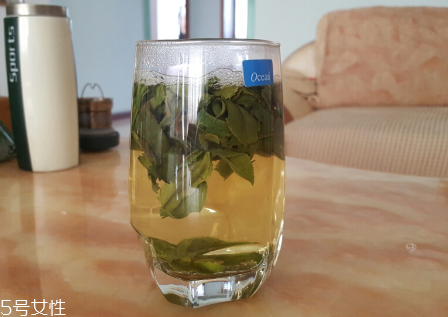 六安瓜片适合什么人喝,六安瓜片好喝吗?