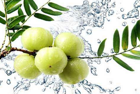 咖喱块什么牌子的好,咖喱块什么牌子好吃