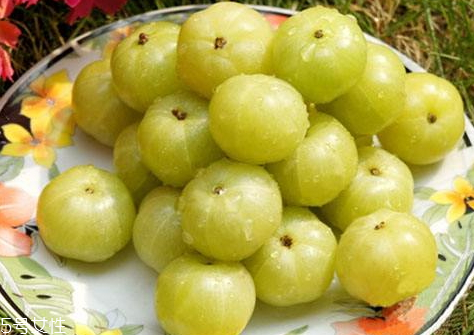 孕妇吃余甘果的好处,孕妇能吃余甘果吗