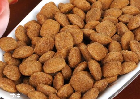 羊奶粉怎么泡狗粮给小狗吃,羊奶粉怎么泡狗粮 羊奶粉怎么泡狗粮给小狗吃,羊奶粉怎么泡狗粮