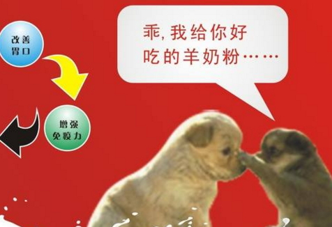 喝羊奶会上火吗?,羊奶粉上火吗?