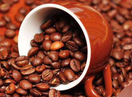 哪里的咖啡豆品质最好,什么牌子的咖啡好喝