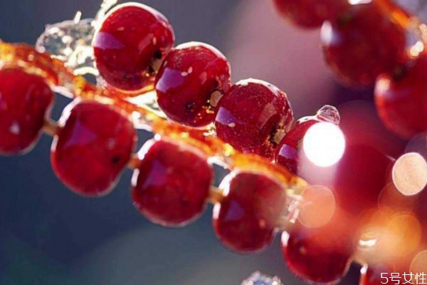 糖葫芦可以放过夜吗,糖葫芦怎么保存过夜