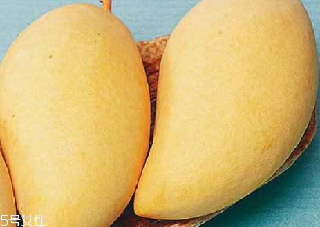 水仙芒产地是哪里,水仙芒产地哪里最好