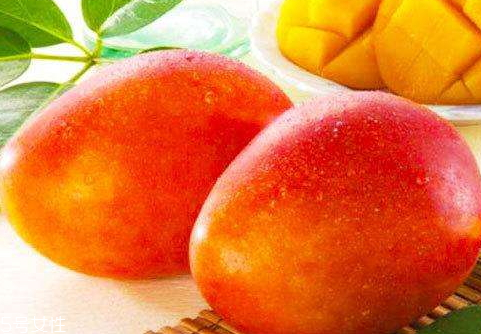 芒果主产地,芒果的原产地