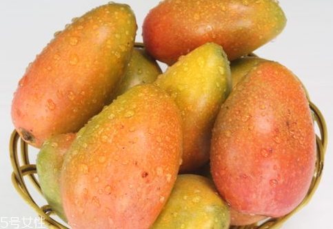 贵妃芒的生长环境,贵妃芒产地