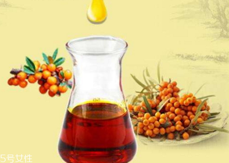 干鲍鱼蒸多久最好,新鲜鲍鱼蒸多长时间就可以吃了