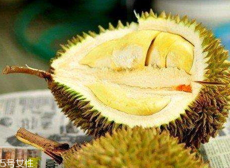 越南有榴莲吗,越南榴莲和泰国榴莲有什么区别