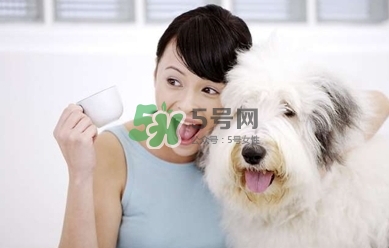 伊索是什么牌子(伊索是什么牌子)