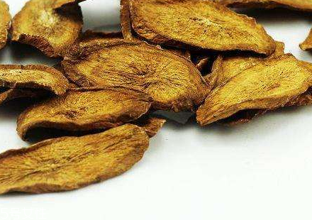 做奶茶可以用什么茶,绿茶可以做奶茶吗