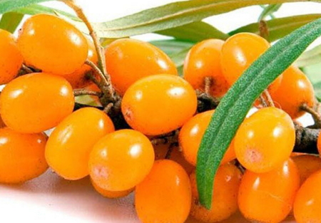 为什么一喝奶茶就失眠怎么办,为什么一喝奶茶就失眠心慌 为什么一喝奶茶就失眠怎么办,为什么一喝奶茶就失眠心慌