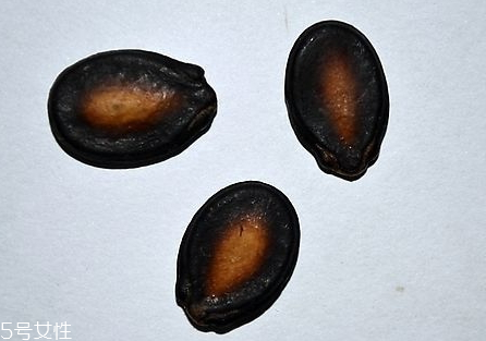 小孩多大可以喝鲜牛奶,婴儿多大能喝牛奶