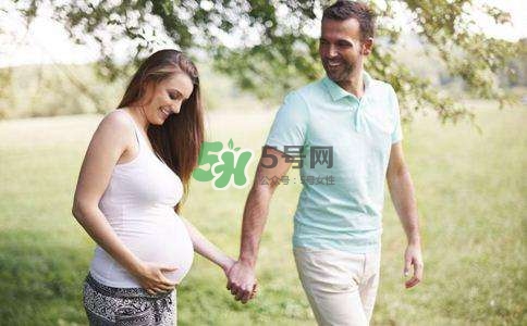 日霜和晚霜(日霜和晚霜的区别)