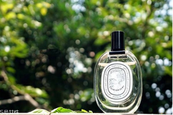 欧舒丹蜡菊系列适合什么年龄(欧舒丹蜡菊系列适合什么年龄)