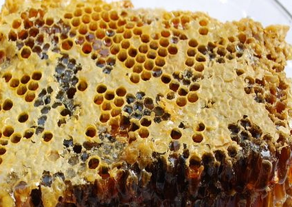 蜂胶的护肤功效和作用,蜂胶的护肤功效