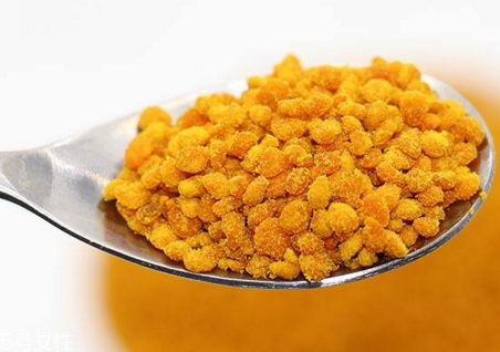 蜂花粉可以长期吃吗?,什么人不能吃蜂花粉 蜂花粉可以长期吃吗?,什么人不能吃蜂花粉