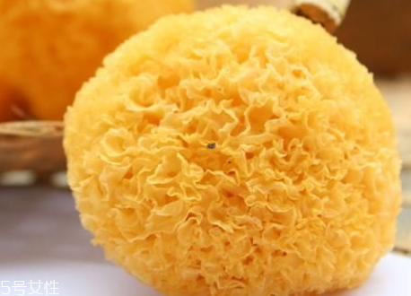 脆冬枣为什么苦有毒吗,为什么有的冬枣吃起来是苦的