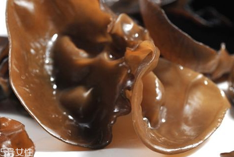 秋木耳泡多久就不能吃了,秋木耳泡多久最好