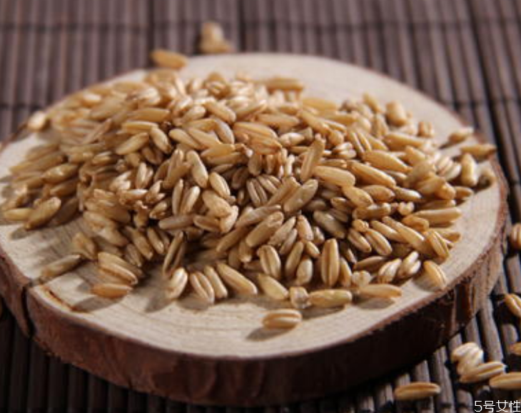 燕麦米怎么吃最好,燕麦米是什么 燕麦米怎么吃最好,燕麦米是什么