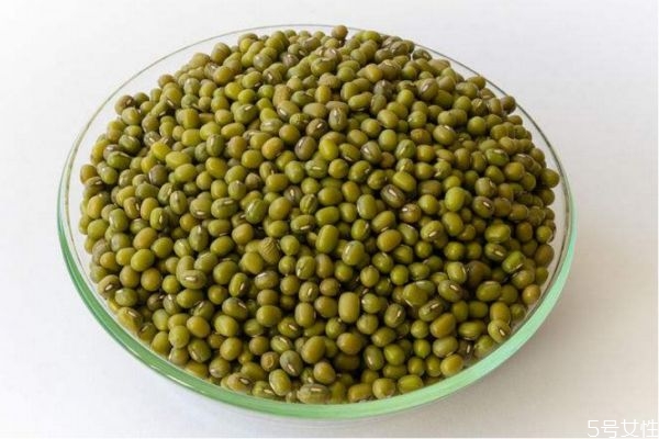 吃绿豆的注意事项,吃绿豆的禁忌哪些食物 吃绿豆的注意事项,吃绿豆的禁忌哪些食物