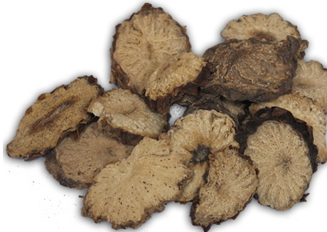 肉苁蓉怎么泡酒最好,肉苁蓉怎么泡酒的步骤 肉苁蓉怎么泡酒最好,肉苁蓉怎么泡酒的步骤