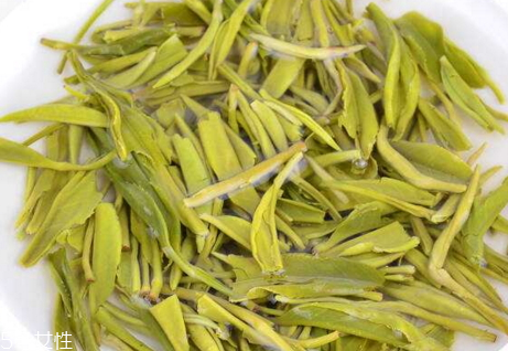 毛尖苦吗?,毛尖很苦吗