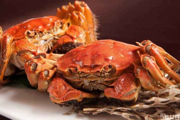 螃蟹怎么挑选,螃蟹挑选小窍门怎么挑螃蟹