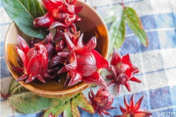 洛神花怎么喝减肥效果好,洛神花是什么花它的功效是什么 洛神花怎么喝减肥效果好,洛神花是什么花它的功效是什么